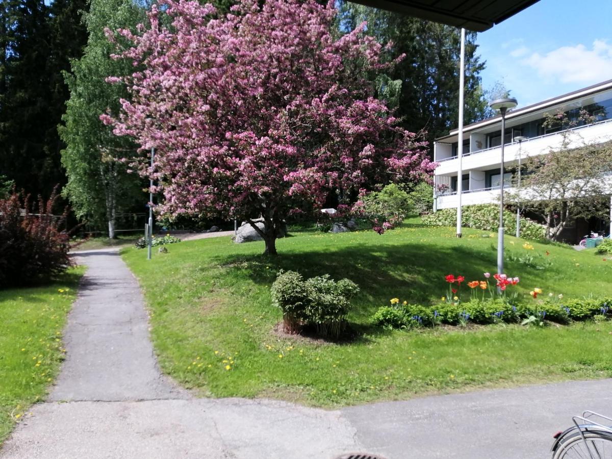 Laajavuoren Majapaikka — Condo In Laajavuori Jyväskylä Exteriér fotografie